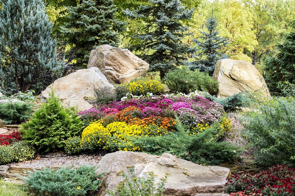 annual color landscaping
