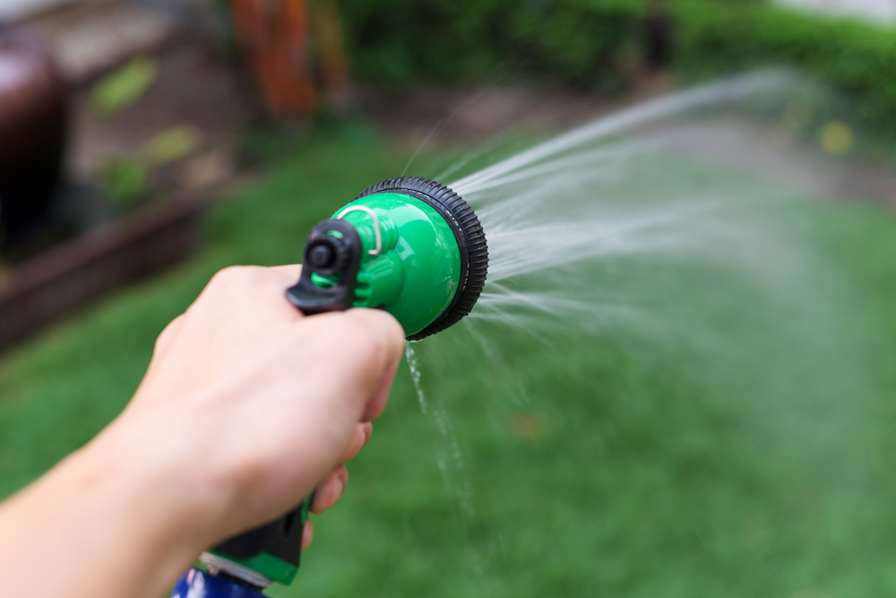 How often should I water my lawn - garden hose in hand