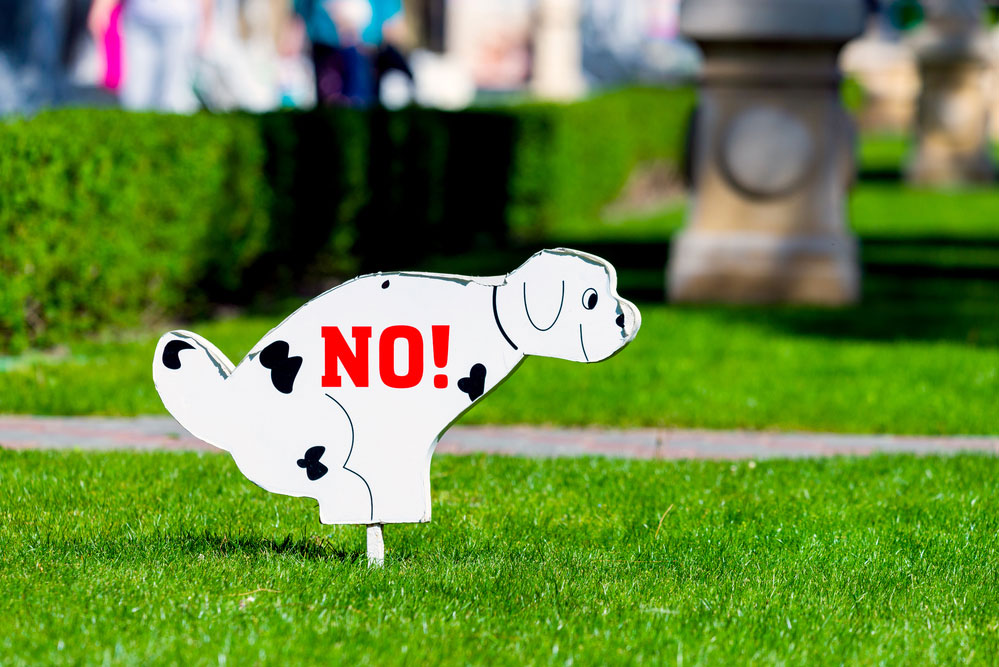 Common lawn problems - sign of dog urinating on grass