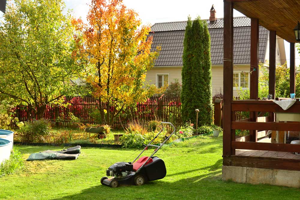 Fall lawn care cincinnati back yard